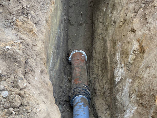 Best Mold Prevention and Remediation in Altus, OK